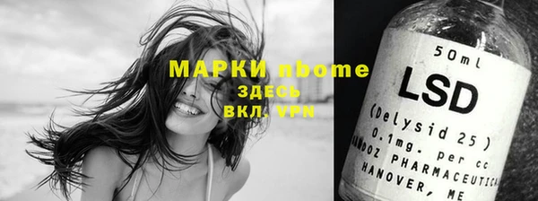 хмурый Кулебаки
