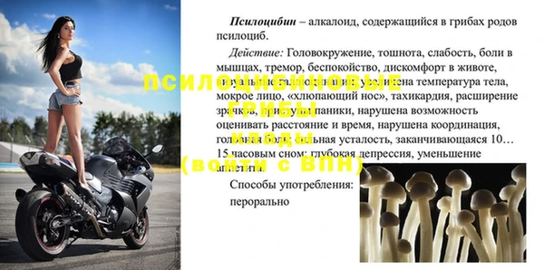 ешки Кукмор