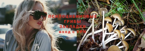 прущая мука Куйбышев