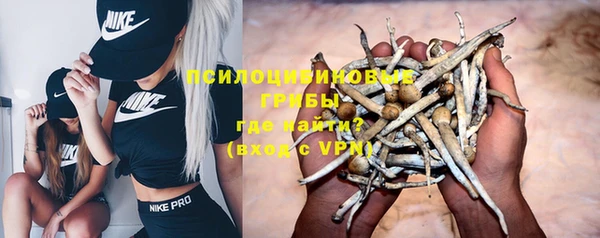 хмурый Краснотурьинск