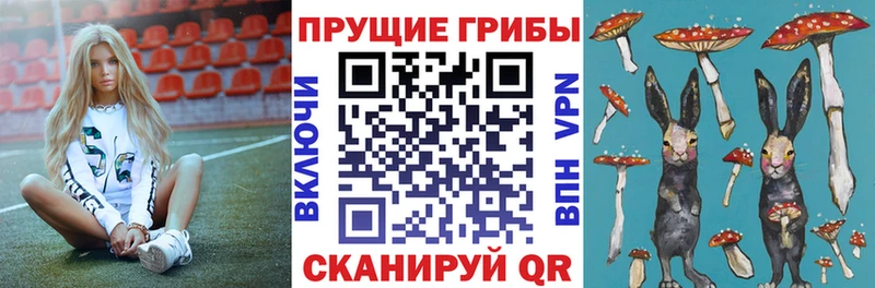 наркота  Чухлома  mega онион  Псилоцибиновые грибы MAGIC MUSHROOMS 